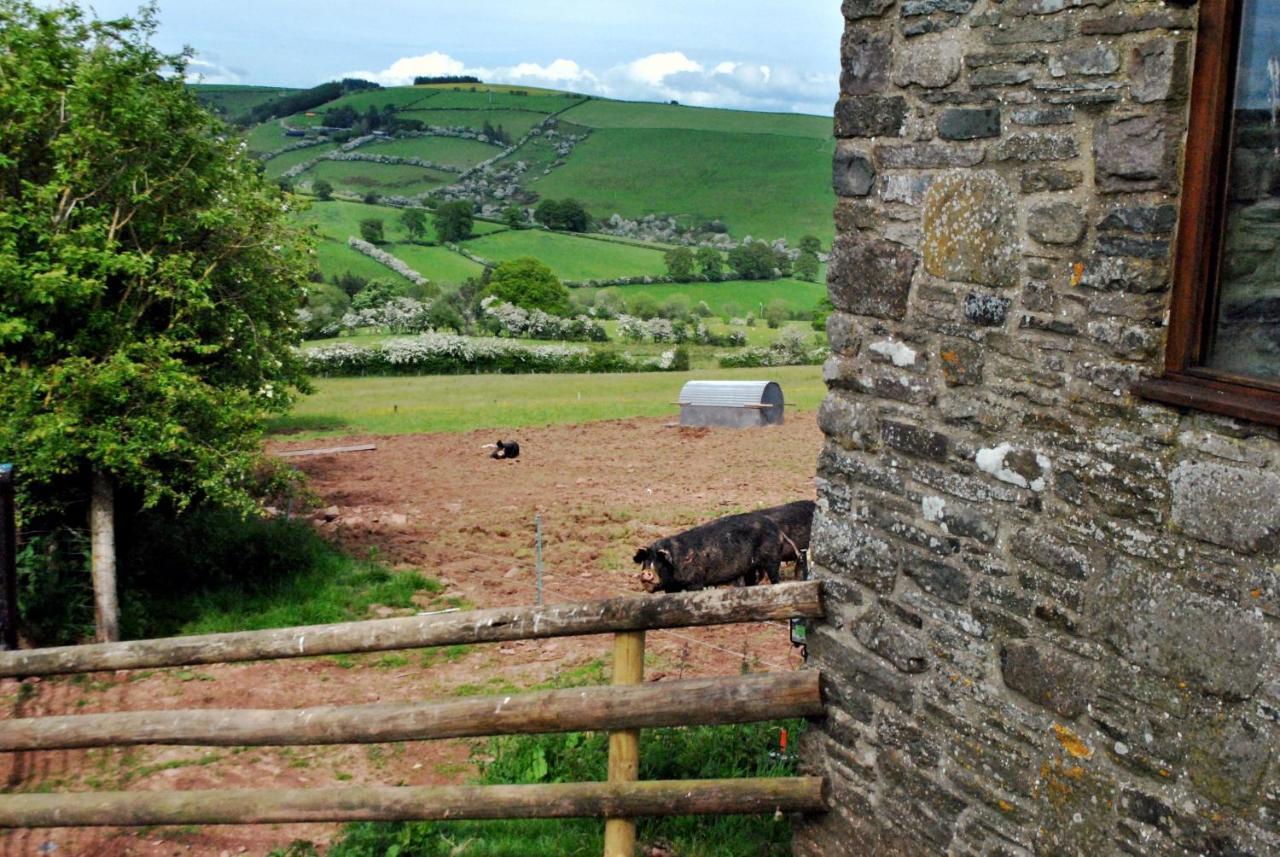 Eco Cottage Joe The Buck Craven Arms Kültér fotó