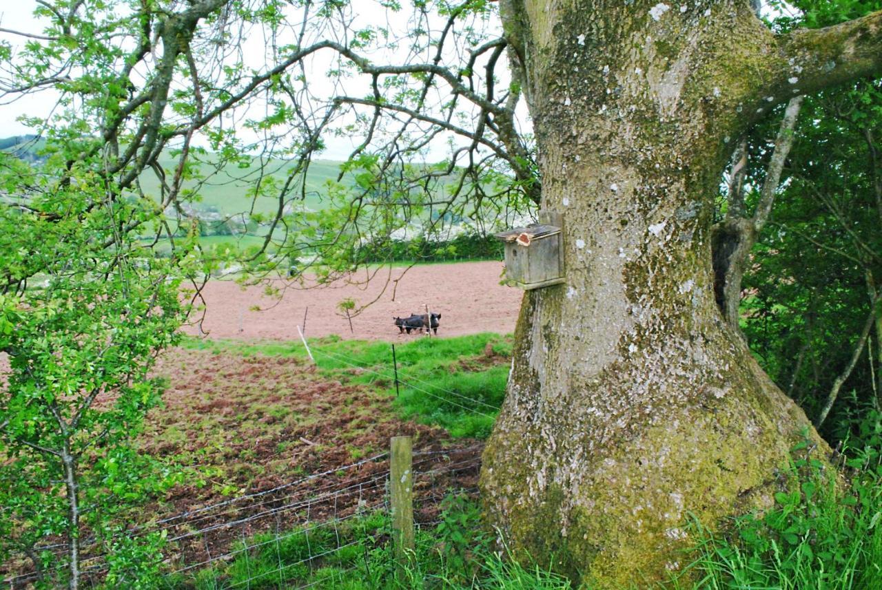 Eco Cottage Joe The Buck Craven Arms Kültér fotó